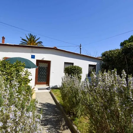 Holiday Home In Premantura/Istrien 10806 *